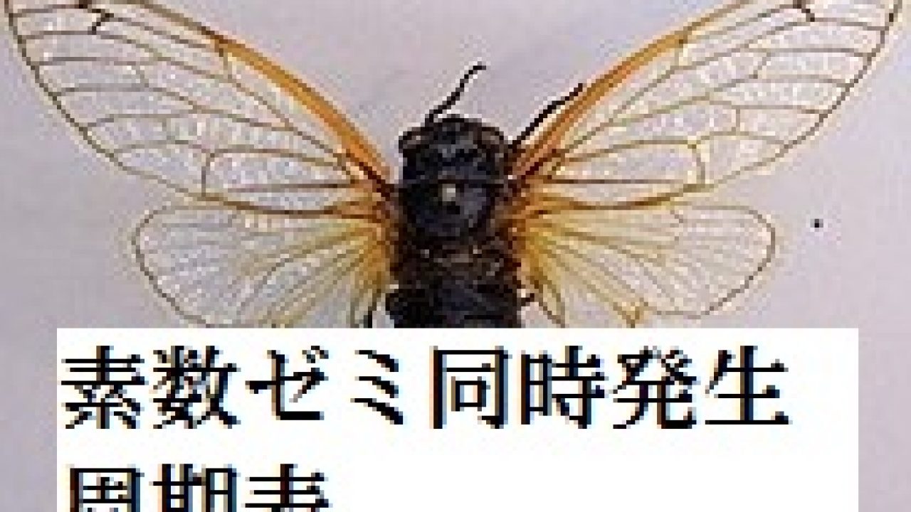 素数ゼミが大量発生 交雑する年の周期表 発明 発見 年表